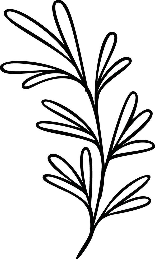 Laurel Leaf Branch Line Art vector