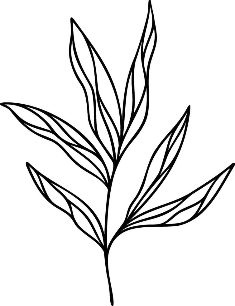 Leaf Line Art vector