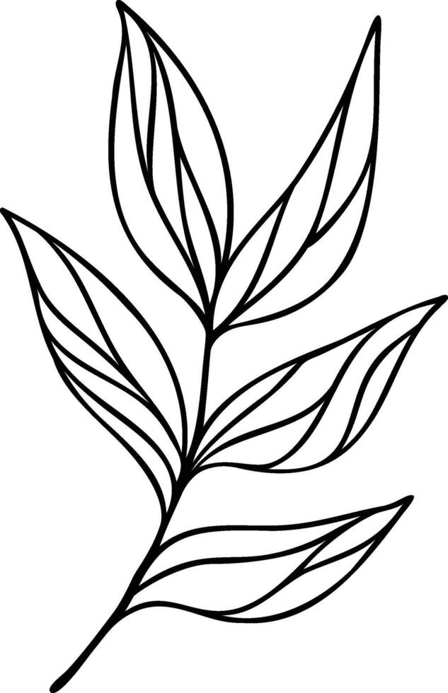 Leaf Line Art vector