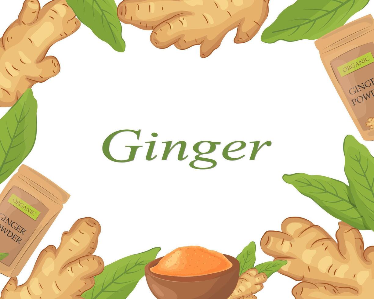 Banner with ginger root. Vector border. Decorative flat cartoon template with ginger root, leaves, and powder in a pack and in a bowl