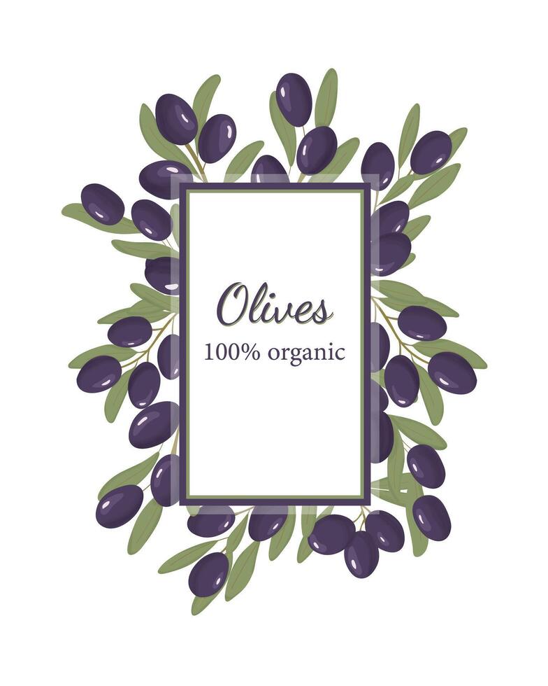 Organic olives label. Purple olives set. Fruit banner. Kalamata olives. Template. vector
