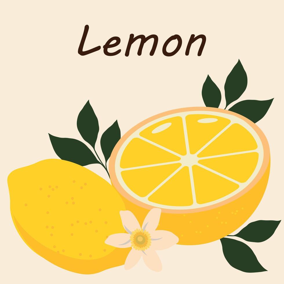 Modern abstract illustration lemons with leaves. Modern art print. Citrus tropical fruits. Summer vector design for cards, invitations, posters, flyers, banners.