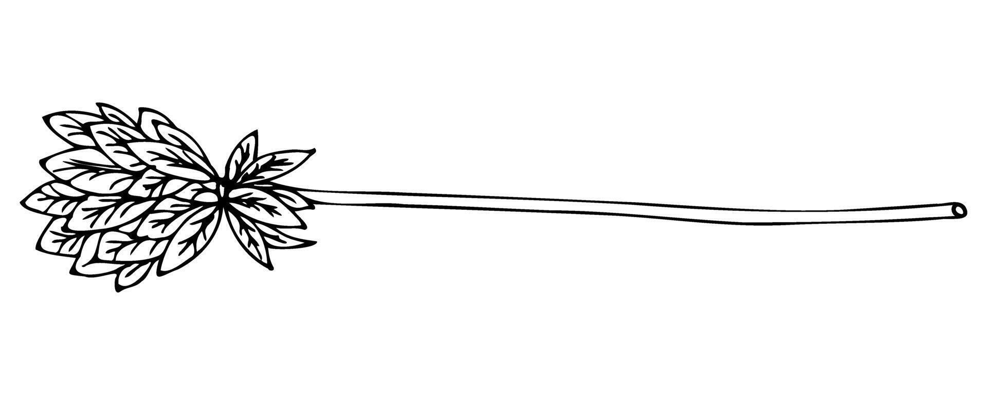 Cleaning broom in doodle style with black silhouette on white vector