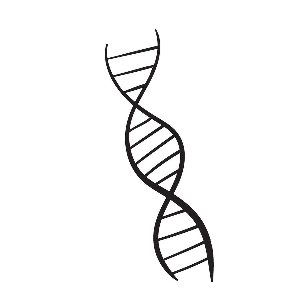 DNA molecule doodle vector