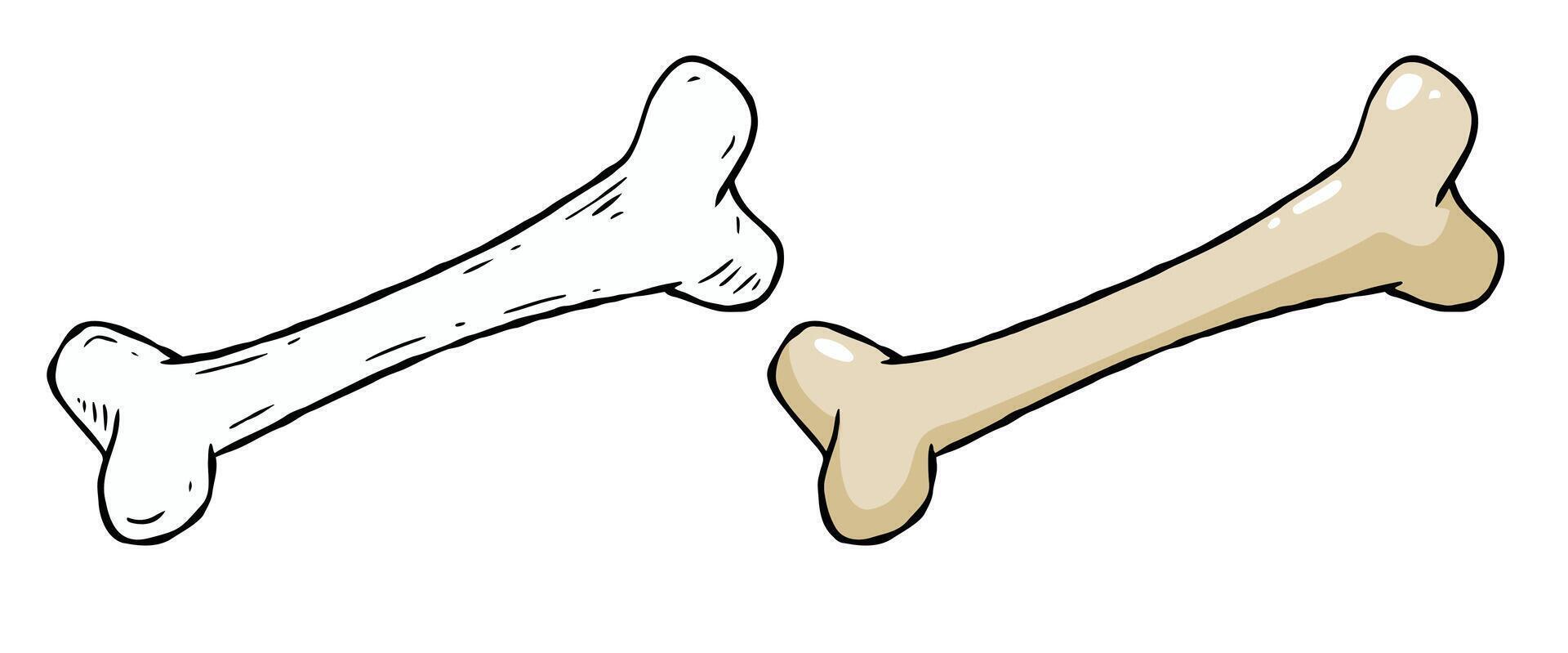 Set of bones. Part of the human skeleton. White dog Toy. Vector Cartoon and flat illustration