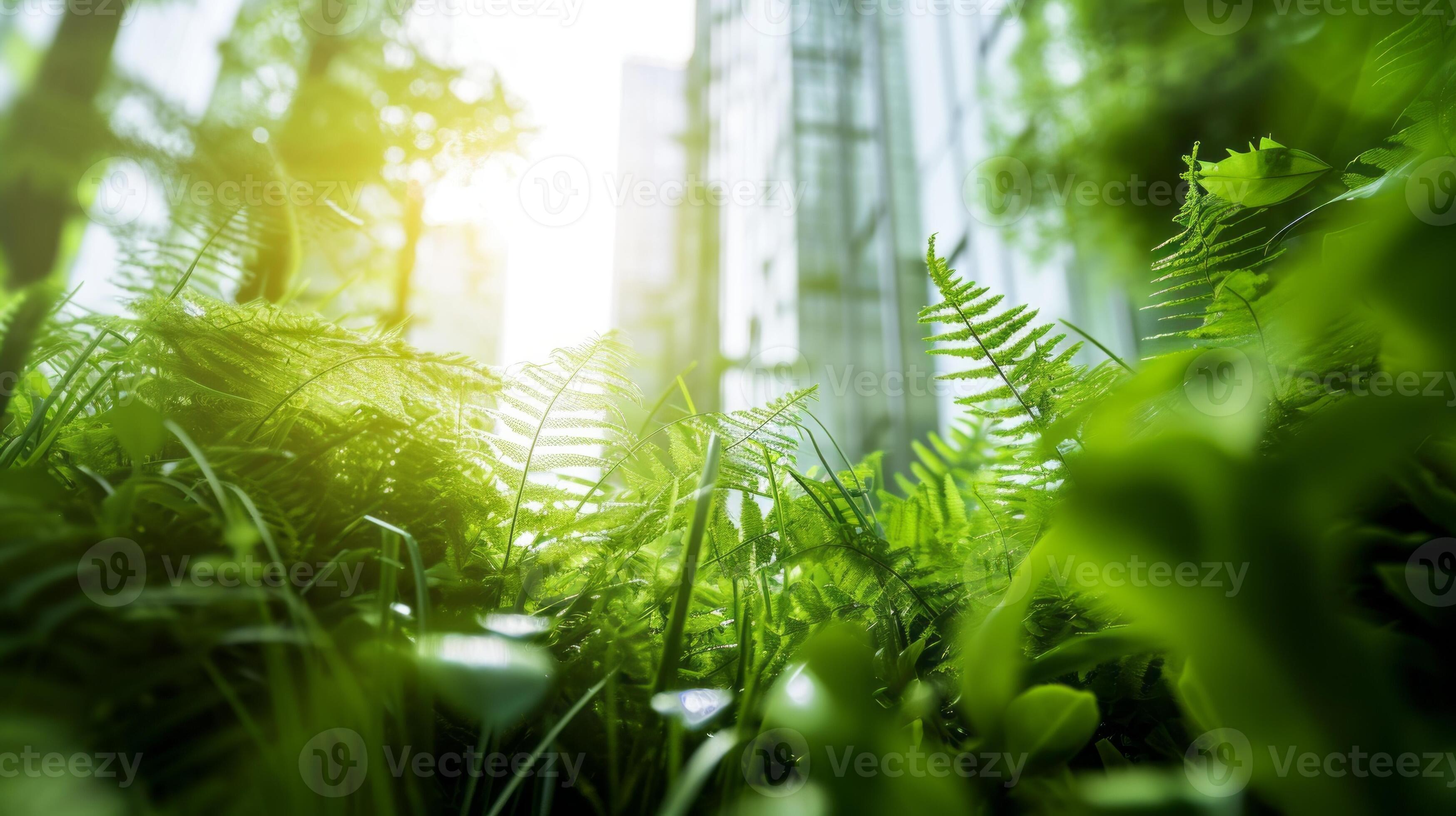 AI generated Enviromentally sustainable company target in 2024. Carbon neutral and net zero