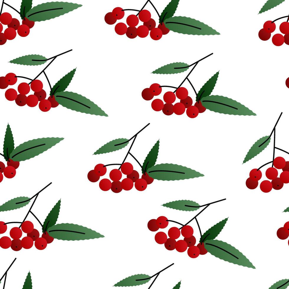 Red berries of rowan. Text Rowanberry. Gradient colors. Seamless pattern. Vector illustration