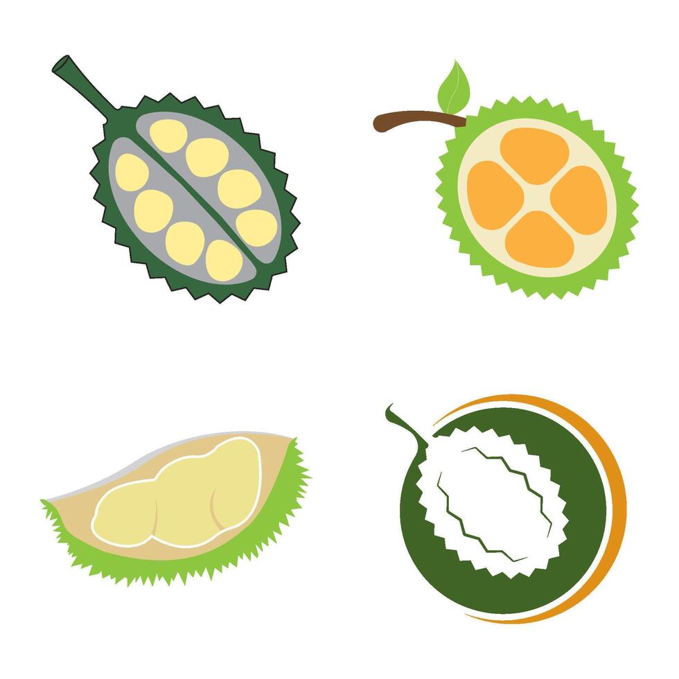 Fresco Durian Fruta icono vector