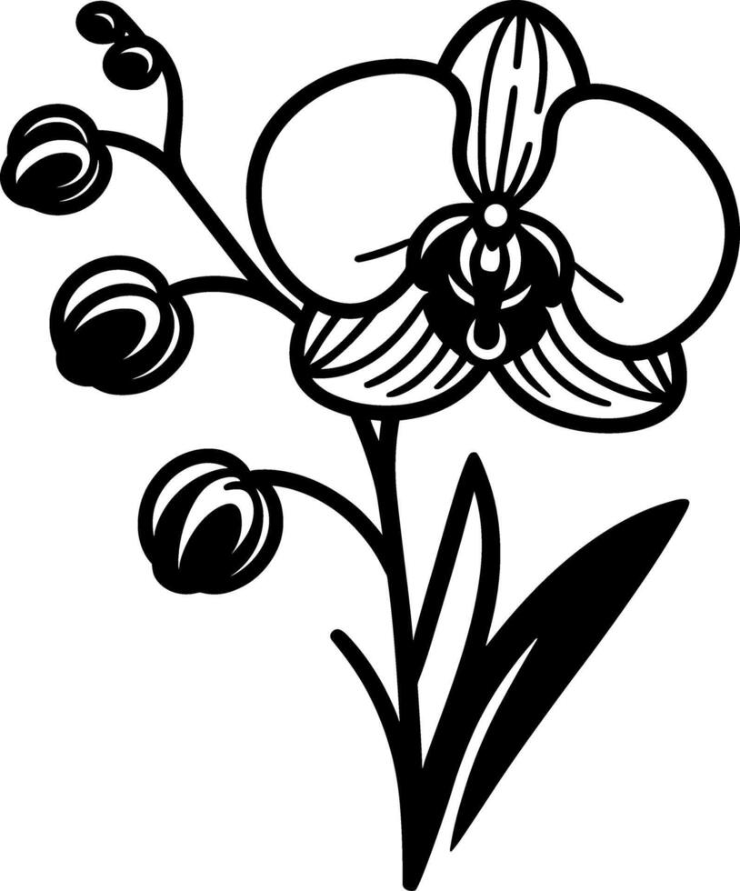 Orchid Flower Floral vector