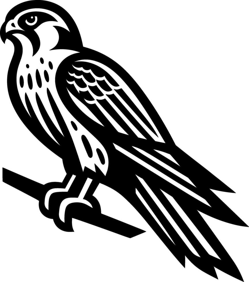 Falcon Bird of Prey vector