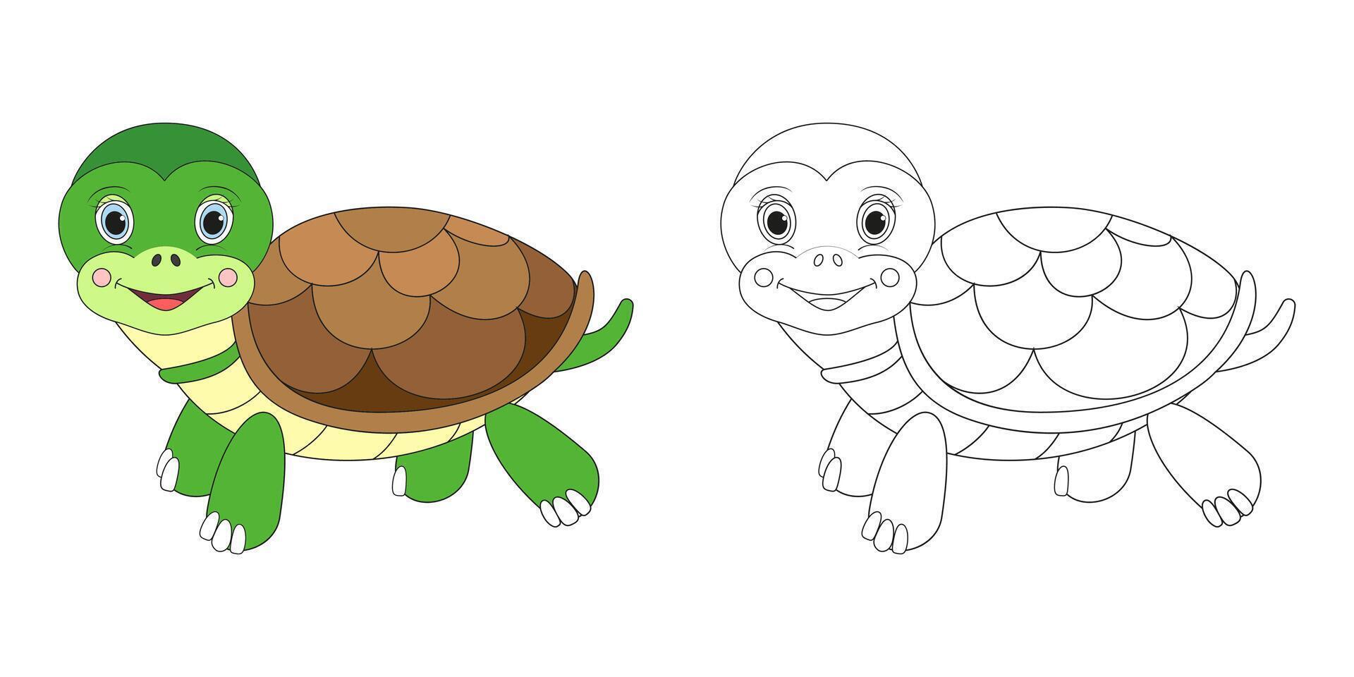 Turtle line and color illustration. Cartoon vector illustration for coloring book.
