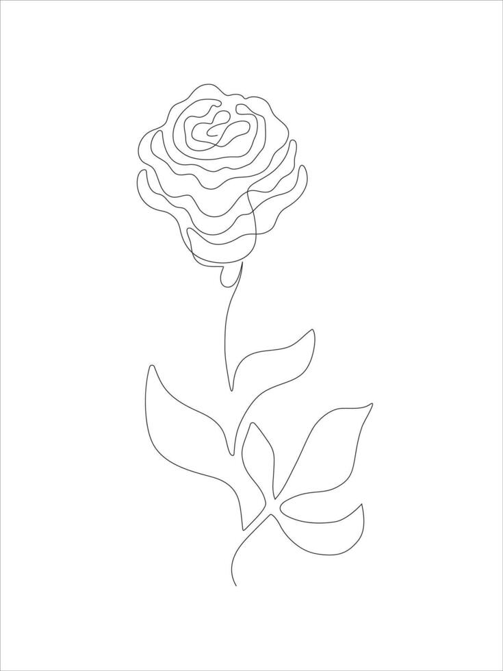 Line art of a rose. Vector illustration.