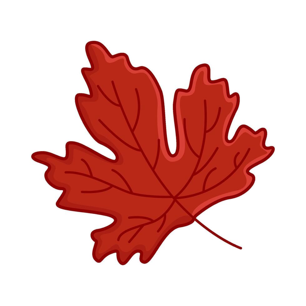 maple leaf autumn illustration vector