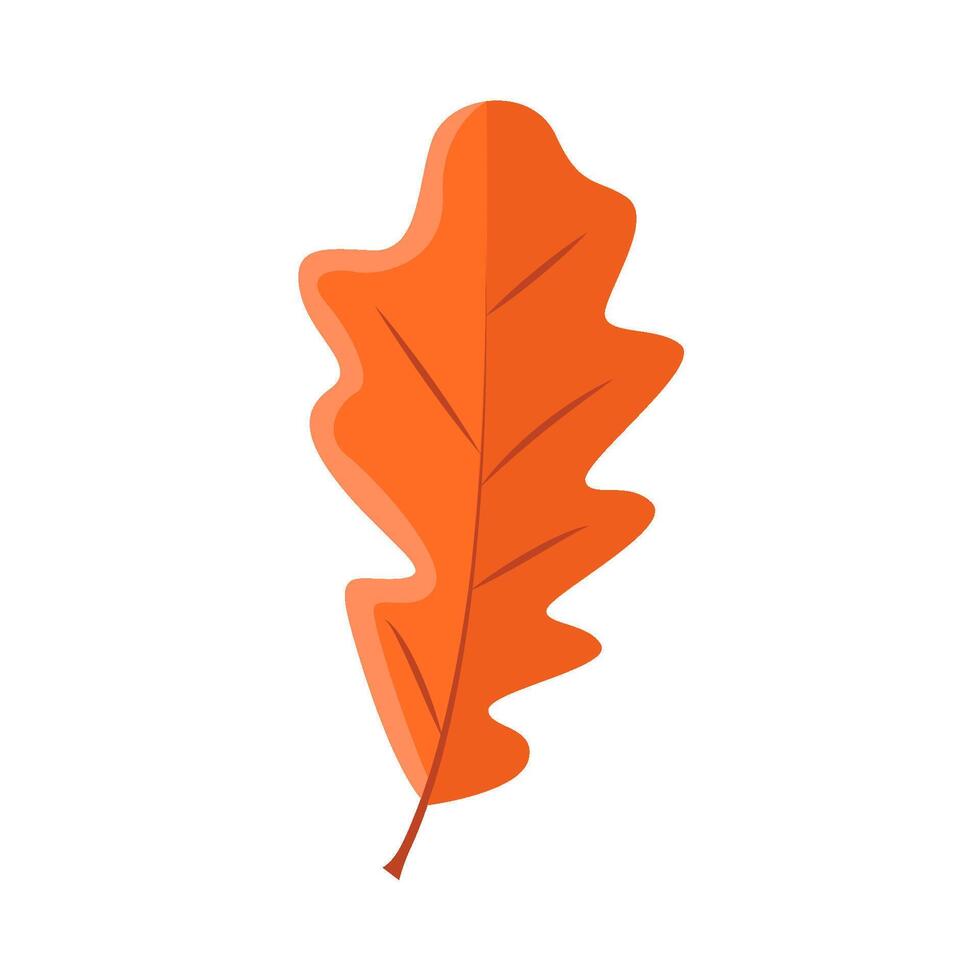 maple leaf autumn illustration vector