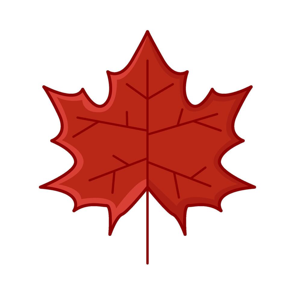 maple leaf autumn illustration vector