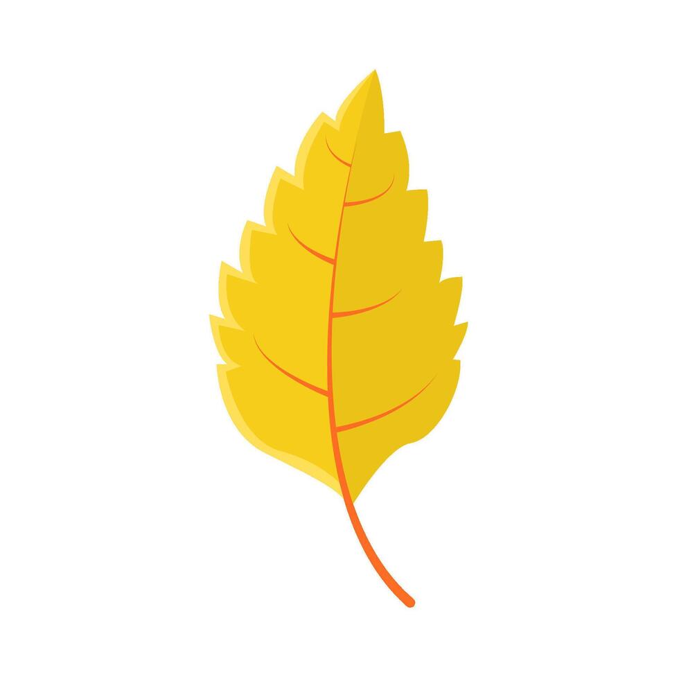 maple leaf autumn illustration vector