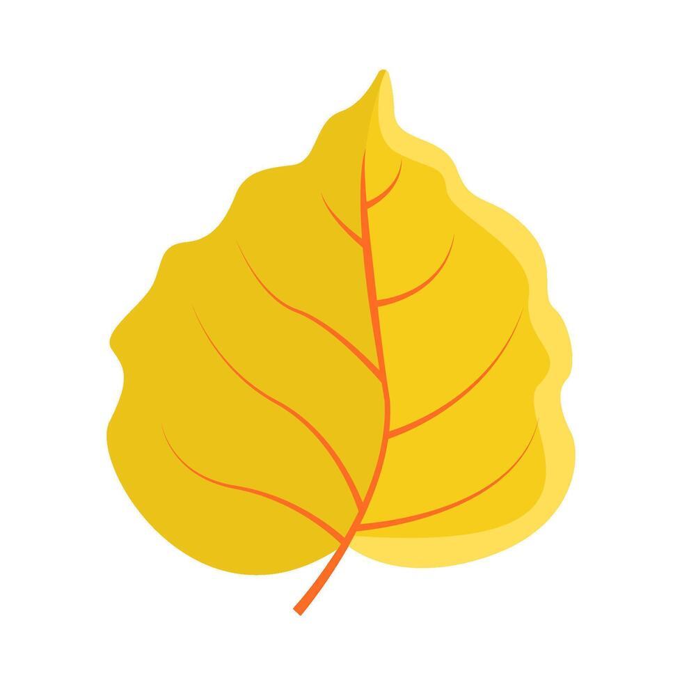 maple leaf autumn illustration vector