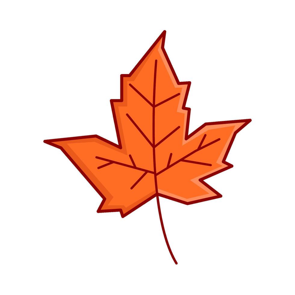 maple leaf autumn illustration vector