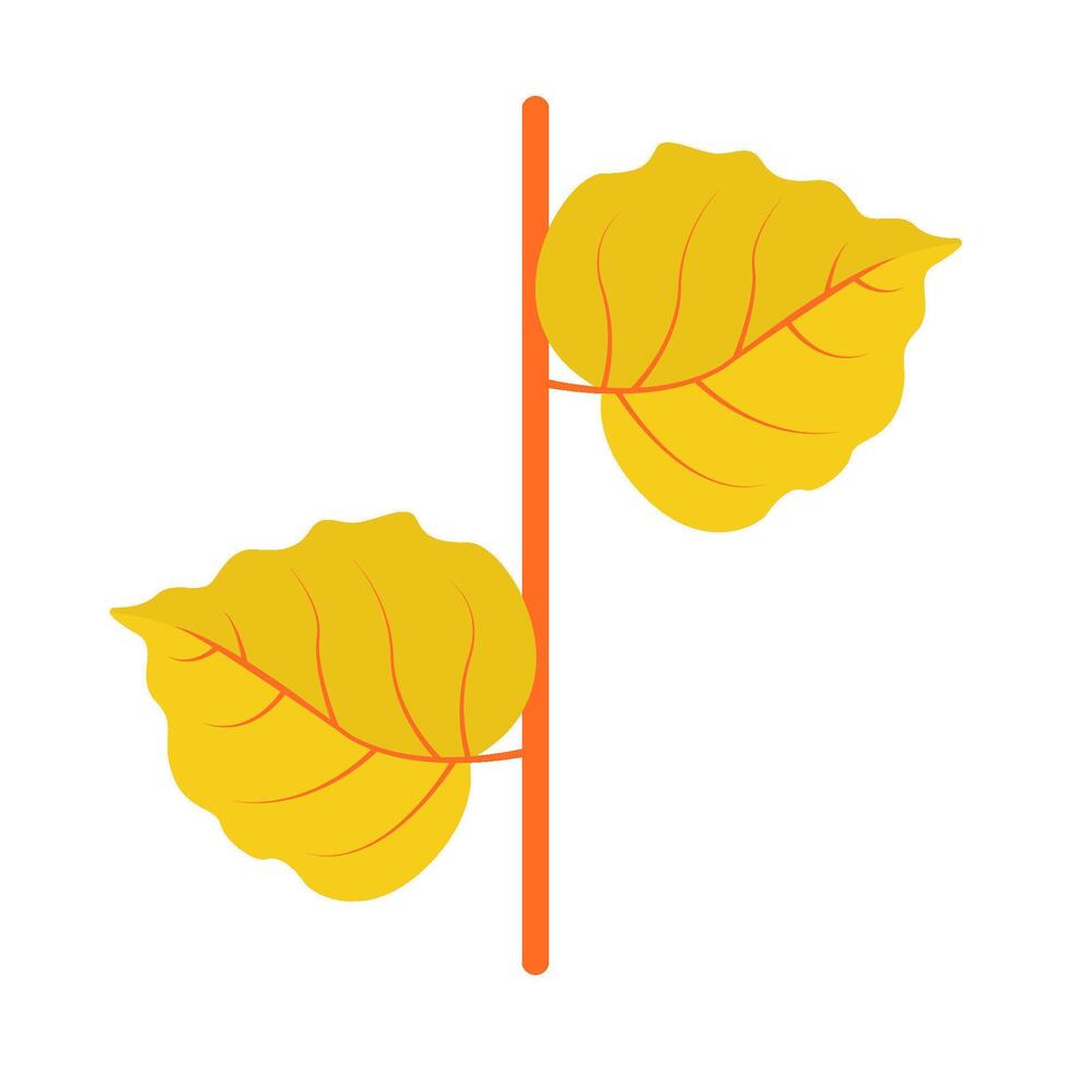 maple leaf autumn illustration vector