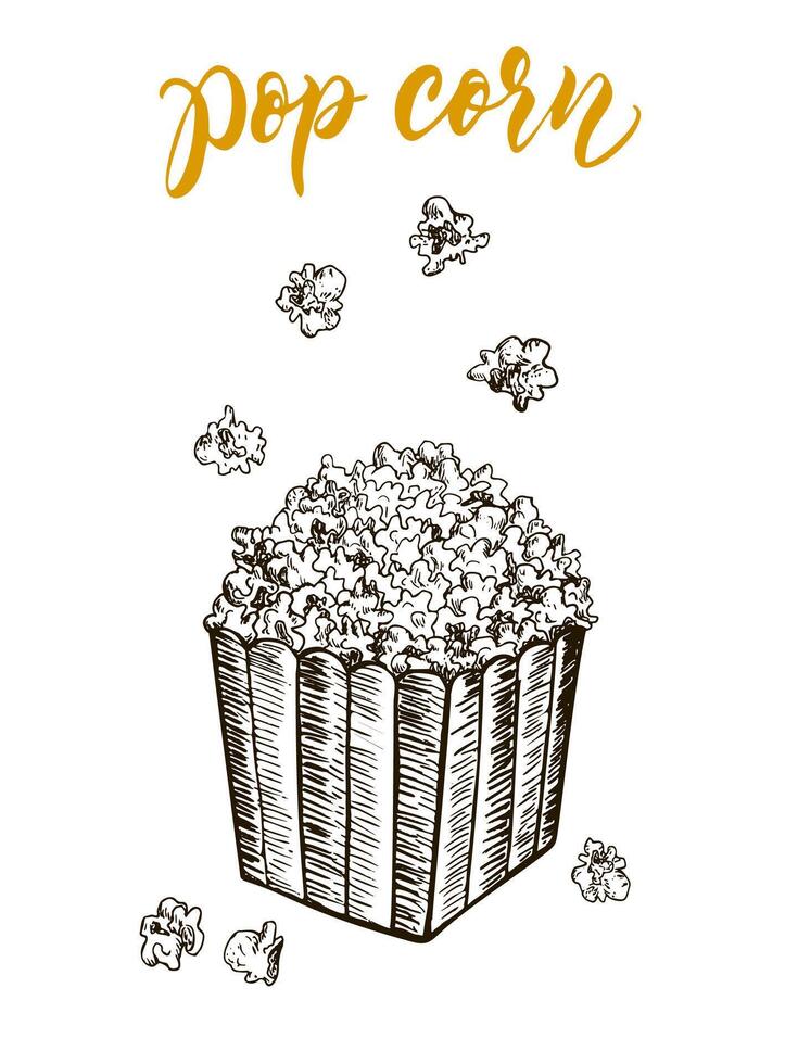 Pop corn sketch vector illustration. Fast food delicious corn icon for restaurant menu, apparel design and prints. Vector illustration