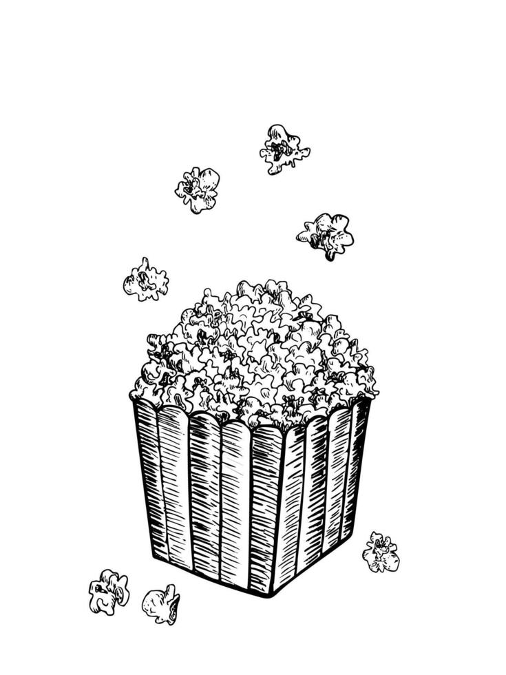 Pop corn sketch vector illustration. Fast food delicious corn icon for restaurant menu, apparel design and prints. Vector illustration