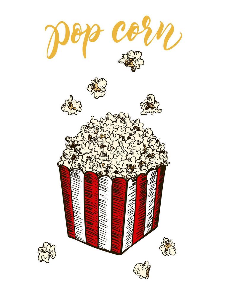 Pop corn sketch vector illustration. Fast food delicious corn icon for restaurant menu, apparel design and prints. Vector illustration