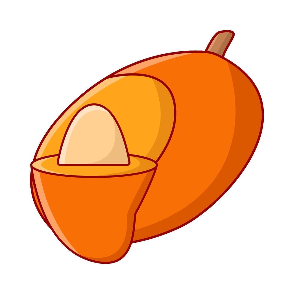 mango slice illustration vector