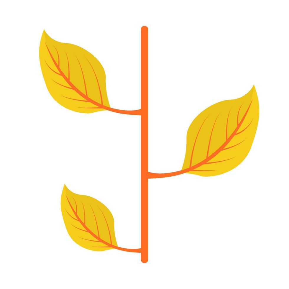 maple leaf autumn illustration vector