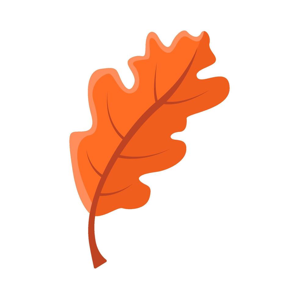 maple leaf autumn illustration vector