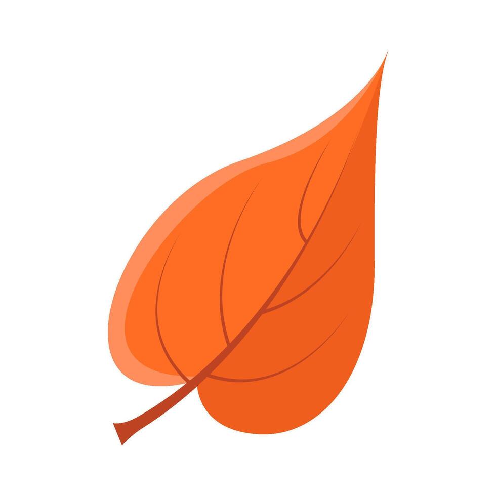 maple leaf autumn illustration vector