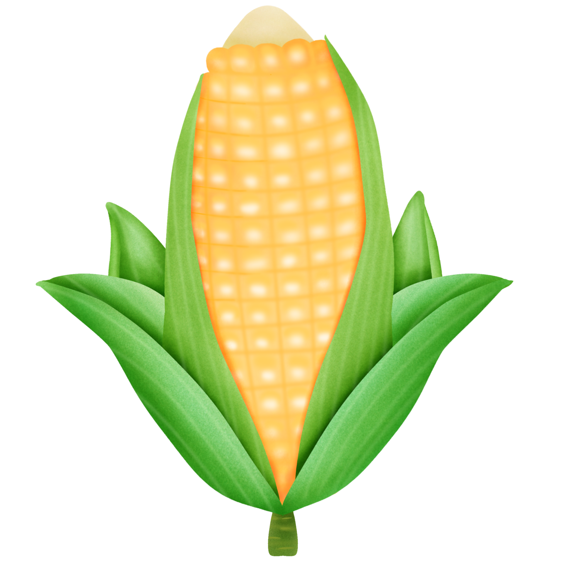 Sweet Corn On The Cob 37131982 PNG sweet-corn-on-the-cob-37131982-png