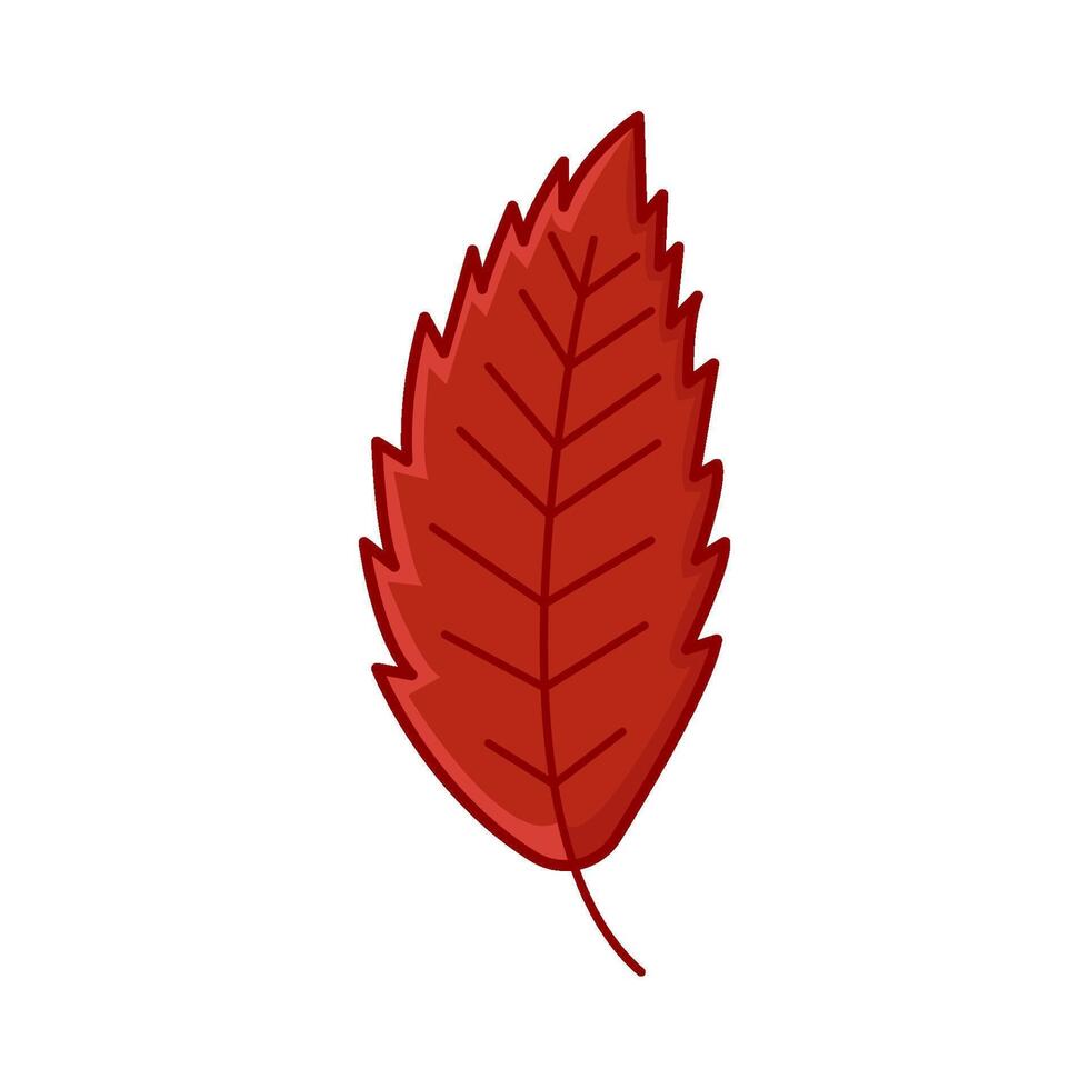 maple leaf autumn illustration vector