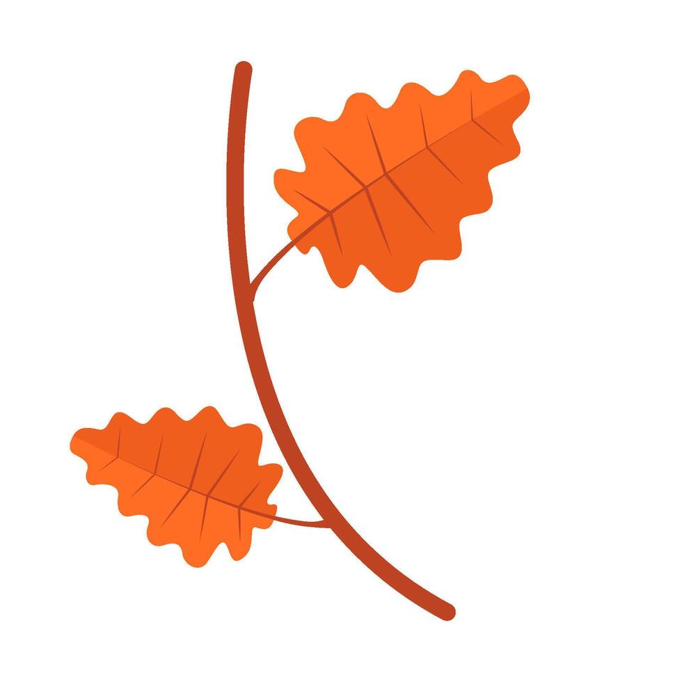 maple leaf autumn illustration vector