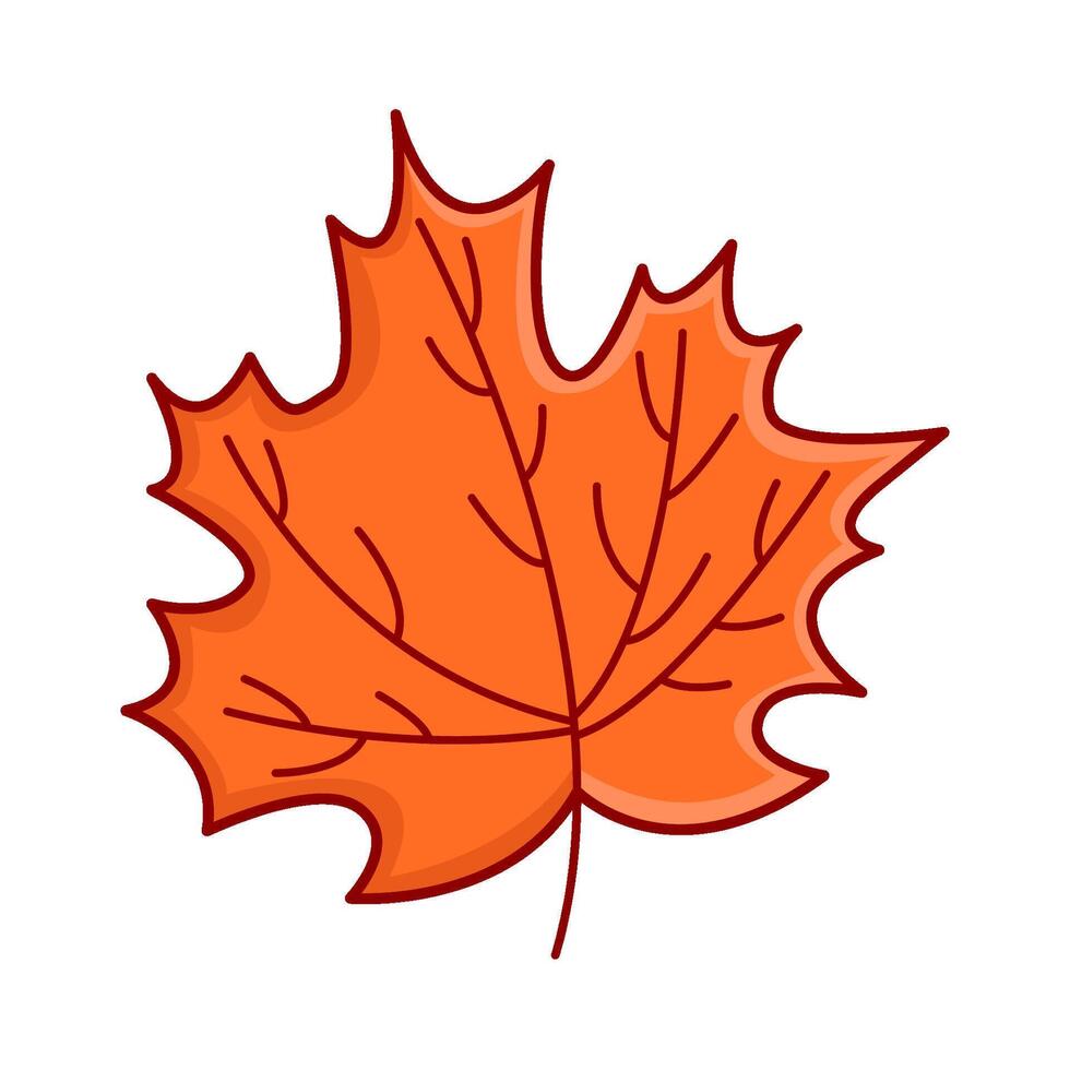 maple leaf autumn illustration vector