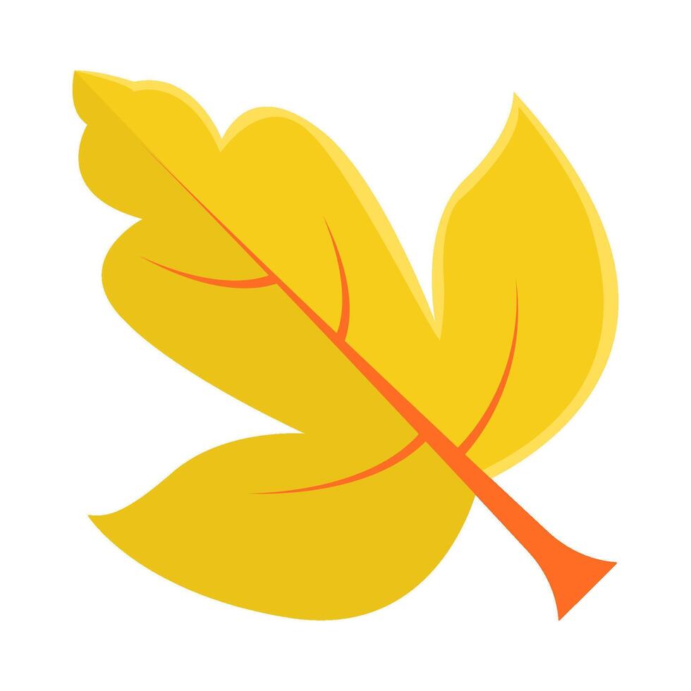 maple leaf autumn illustration vector