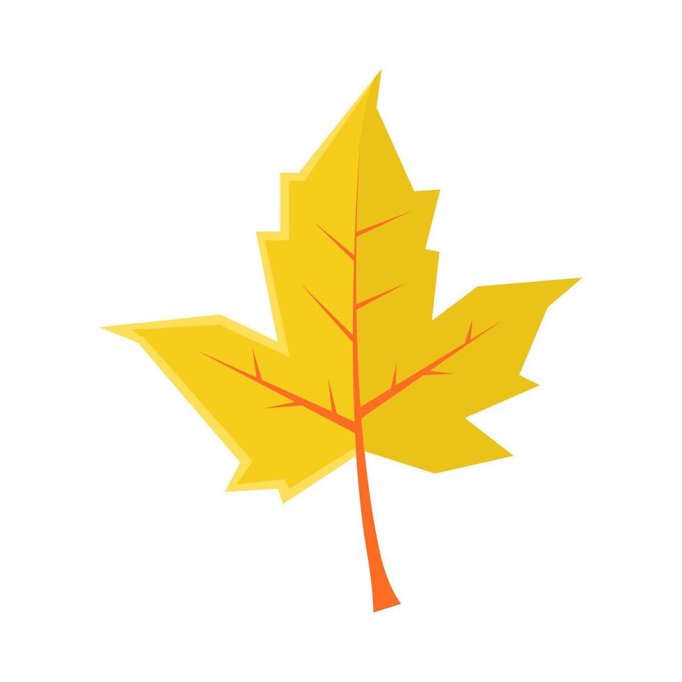 maple leaf autumn illustration vector