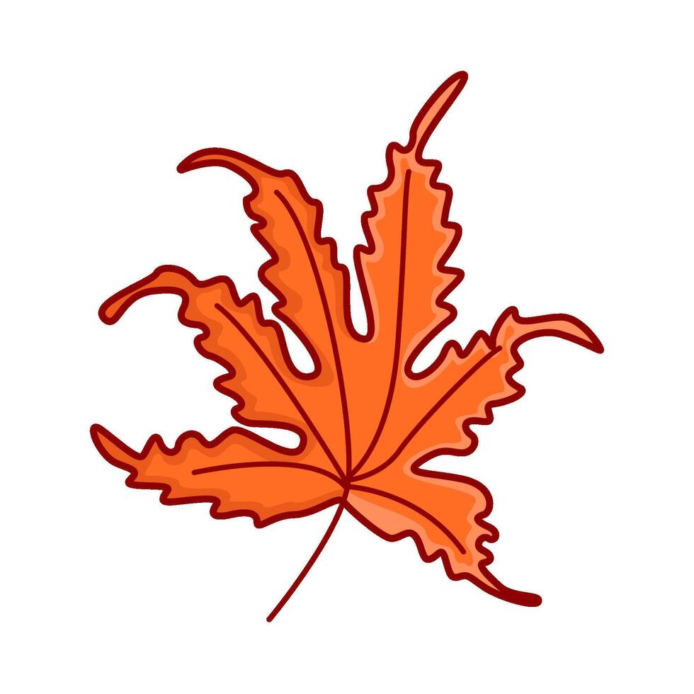 maple leaf autumn illustration vector