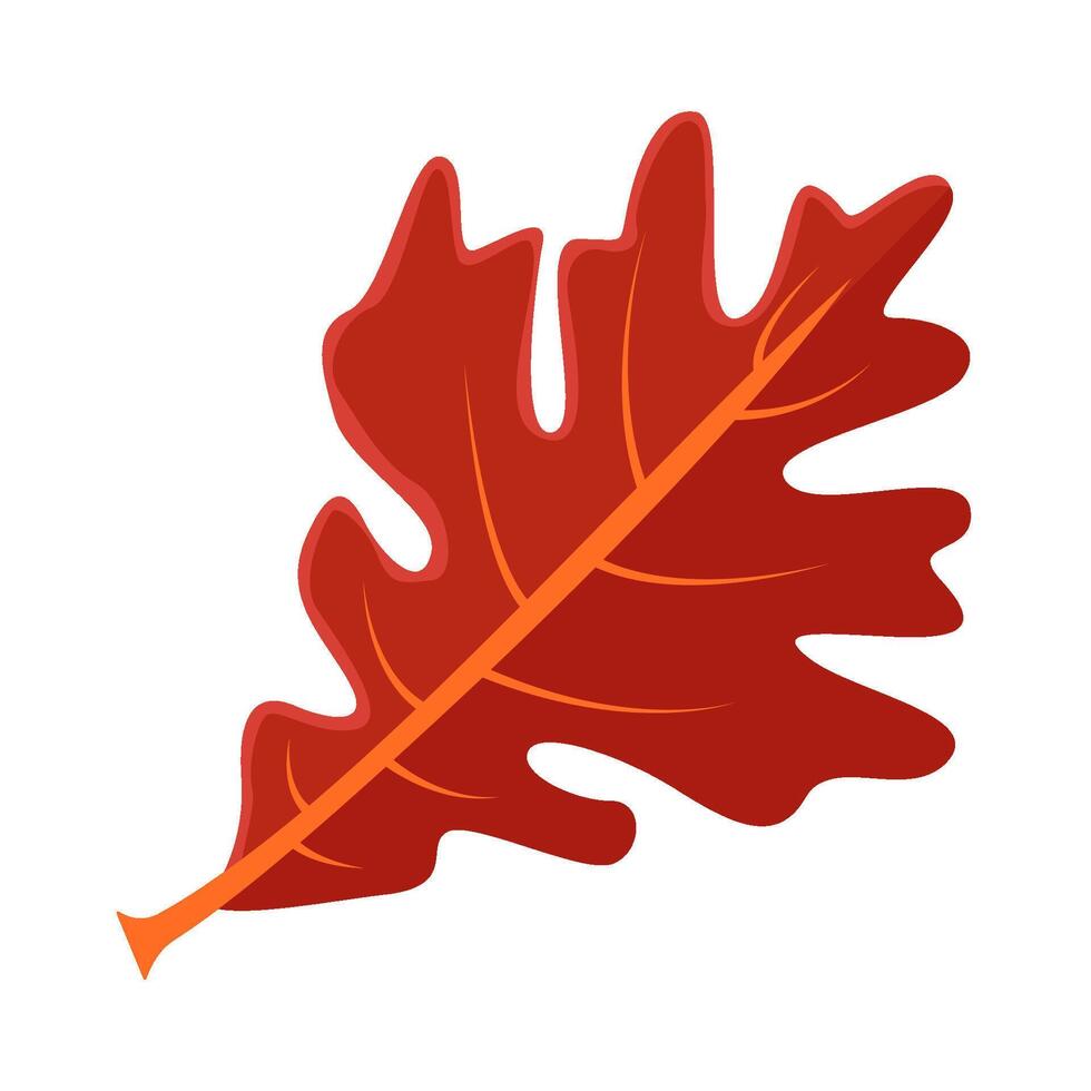 maple leaf autumn illustration vector