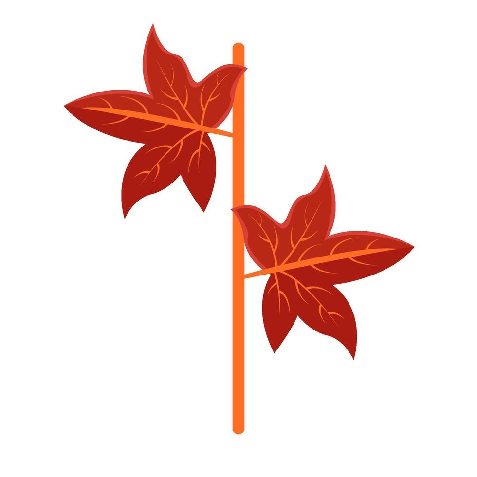 maple leaf autumn illustration vector