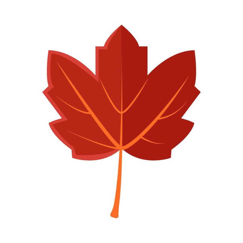 maple leaf autumn illustration vector