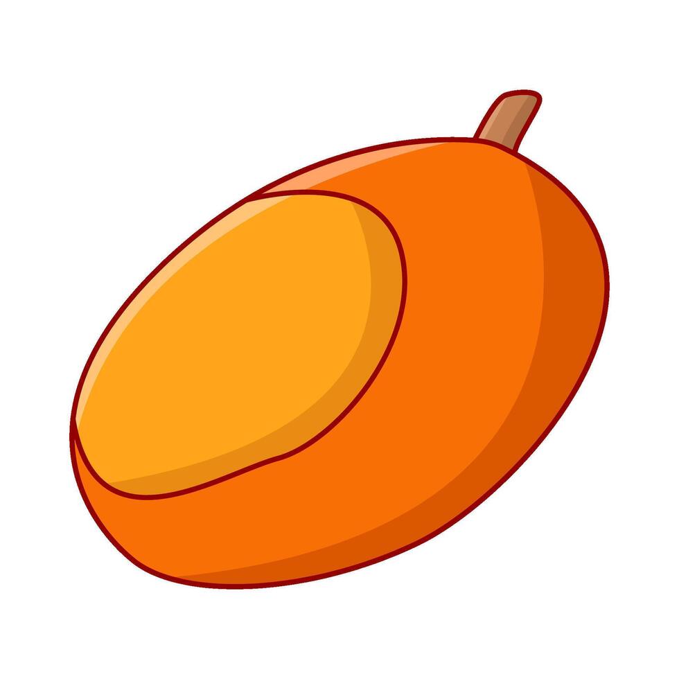 mango slice illustration vector