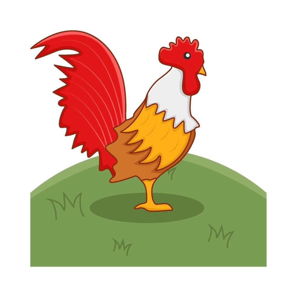 roaster poultry illustration vector