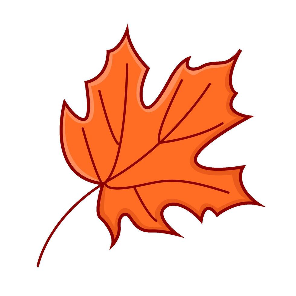 maple leaf autumn illustration vector