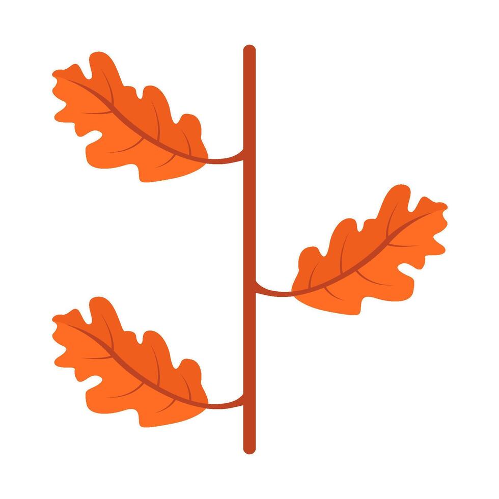 maple leaf autumn illustration vector