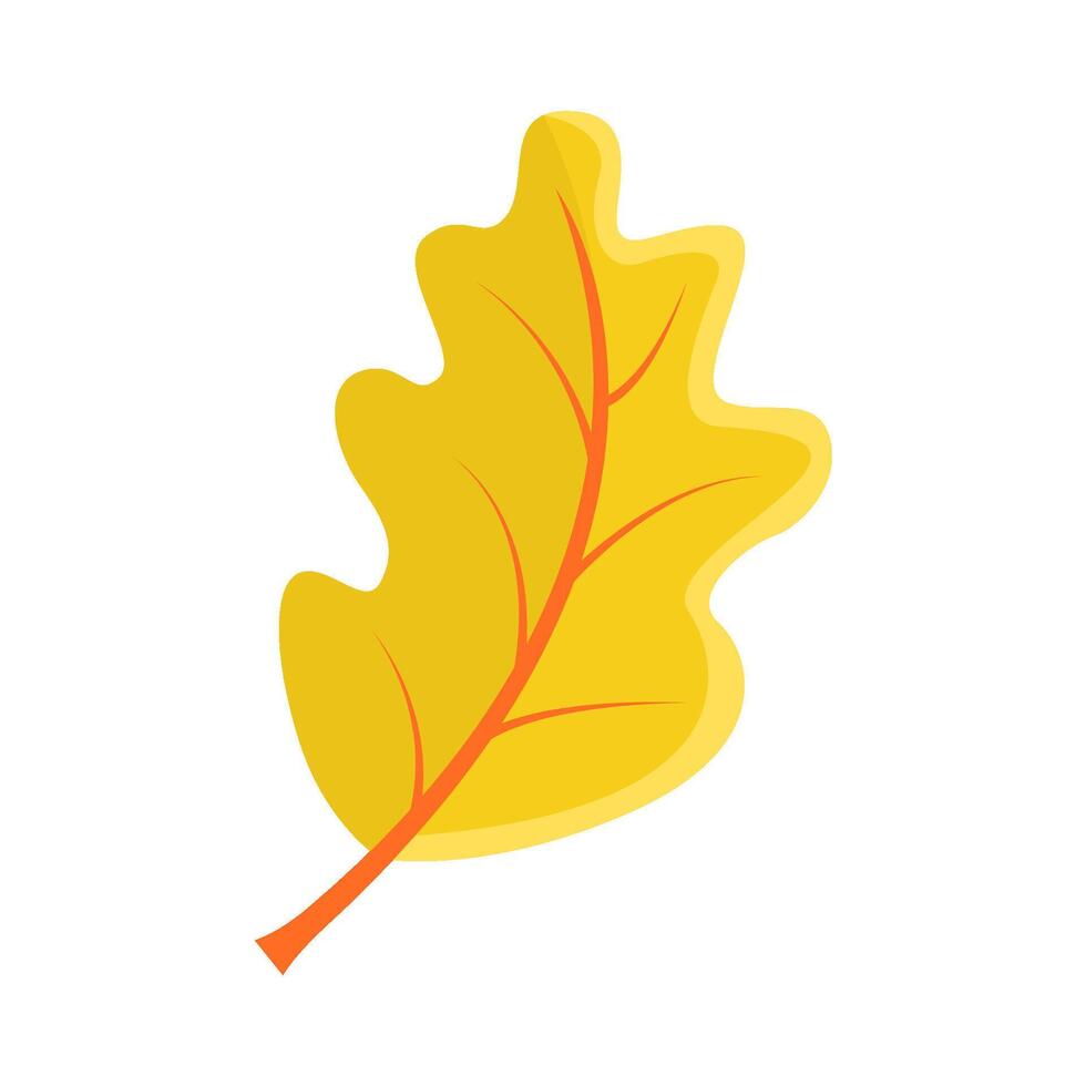 maple leaf autumn illustration vector