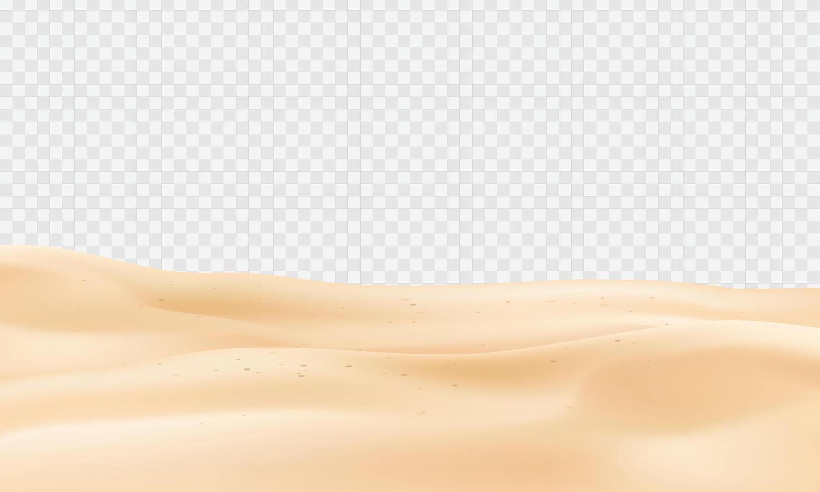 Vector realistic beach coastline sand surface