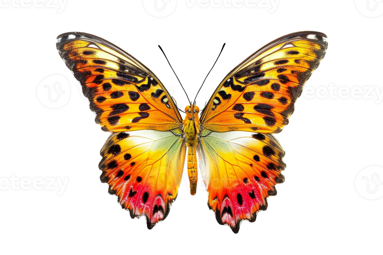 AI generated butterfly isolated on png background