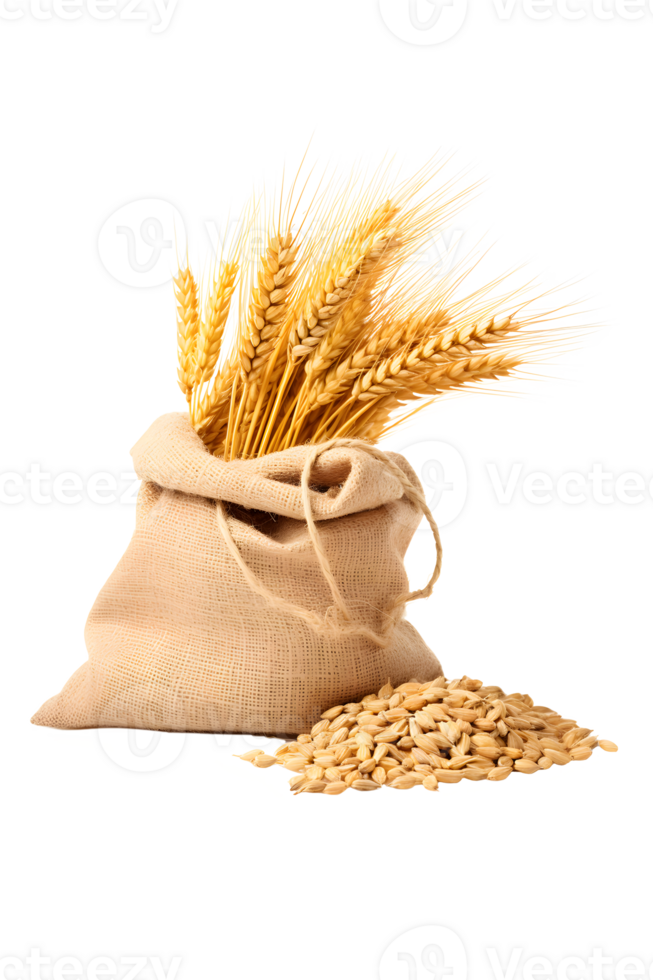 AI generated wheat in sacks png
