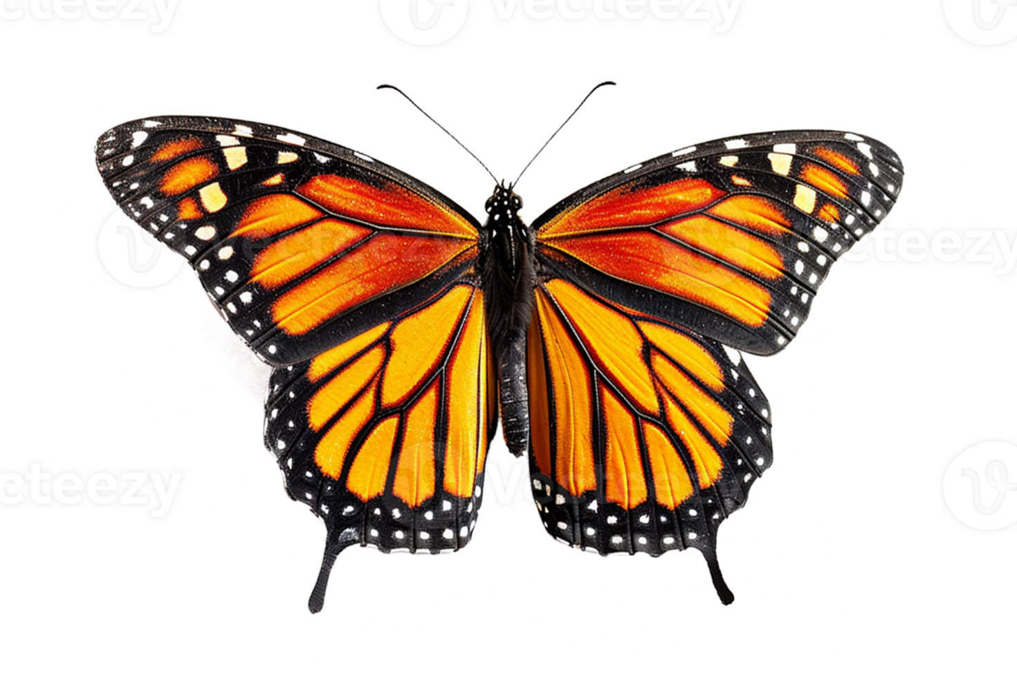 AI generated butterfly isolated on png background