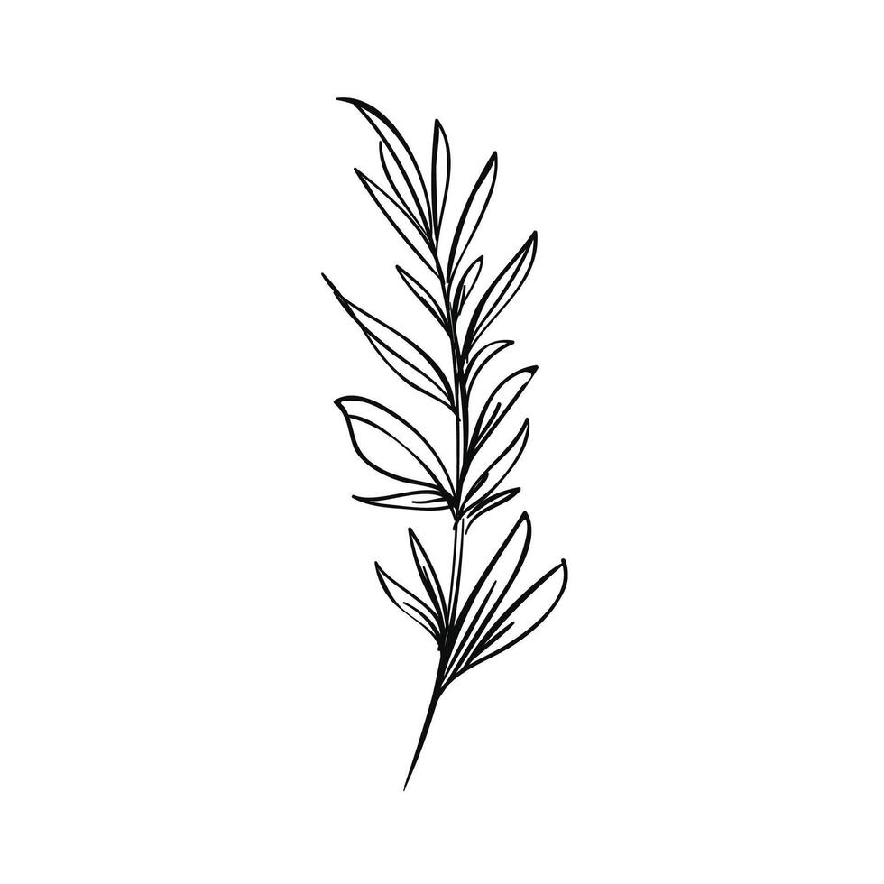vector illustration of plant on white background
